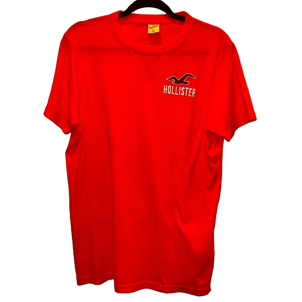 Hollister Short Sleeve T-Shirt Size Large  NWT